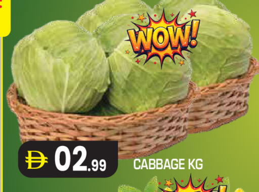 Cabbage متوفر لدى سنابل بني ياس في الإمارات العربية المتحدة , الامارات - ٱلْعَيْن‎