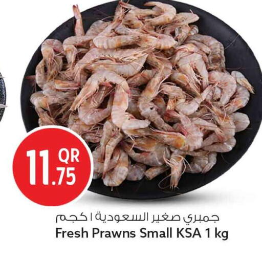 متوفر لدى سفاري هايبر ماركت في قطر - الريان
