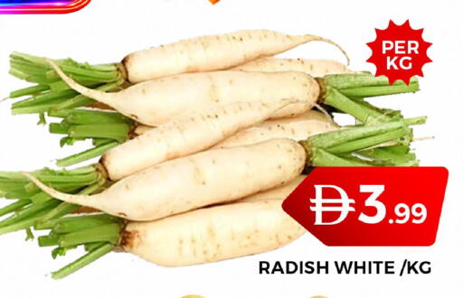 Radish متوفر لدى جراند هايبر ماركت في الإمارات العربية المتحدة , الامارات - دبي