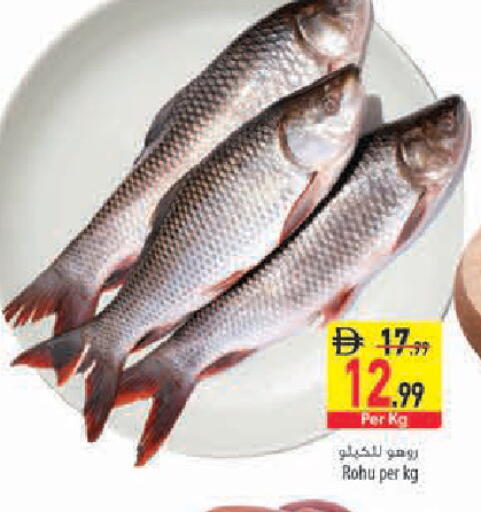 available at Safeer Market in UAE - Sharjah / Ajman