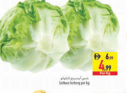 Lettuce متوفر لدى السفير ماركت في الإمارات العربية المتحدة , الامارات - رَأْس ٱلْخَيْمَة