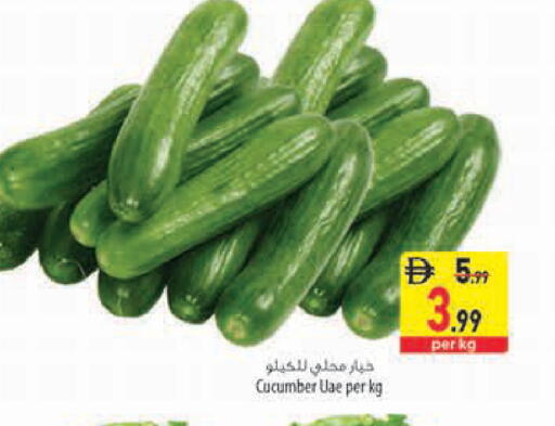 Cucumber متوفر لدى السفير ماركت في الإمارات العربية المتحدة , الامارات - رَأْس ٱلْخَيْمَة