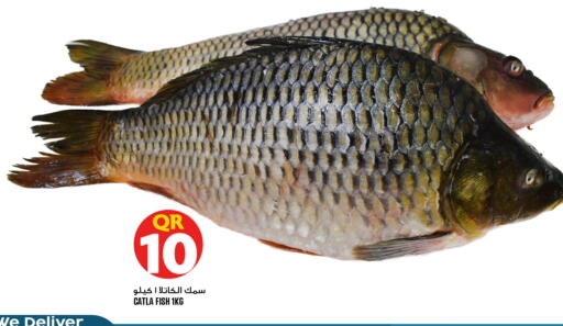 متوفر لدى قصر الأغذية هايبرماركت في قطر - أم صلال