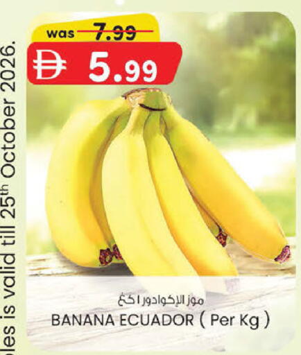 Banana من Ecuador متوفر لدى ك. الم. للتجارة في الإمارات العربية المتحدة , الامارات - دبي