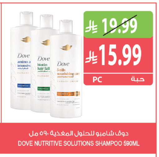 متوفر لدى المزرعة في مملكة العربية السعودية, السعودية, سعودية - سكاكا