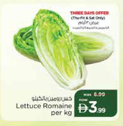 Lettuce متوفر لدى نستو هايبرماركت في الإمارات العربية المتحدة , الامارات - الشارقة / عجمان