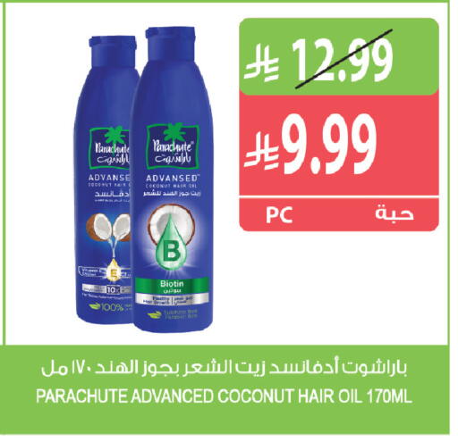 Coconut متوفر لدى المزرعة في مملكة العربية السعودية, السعودية, سعودية - سكاكا