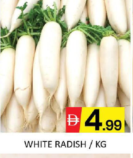 Mango Radish متوفر لدى مانجو هايبرماركت في الإمارات العربية المتحدة , الامارات - دبي