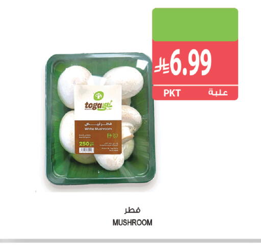 Mushroom available at Farm  in KSA, Saudi Arabia, Saudi - Al Khobar
