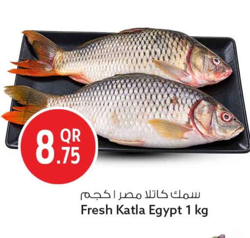 متوفر لدى سفاري هايبر ماركت في قطر - الريان