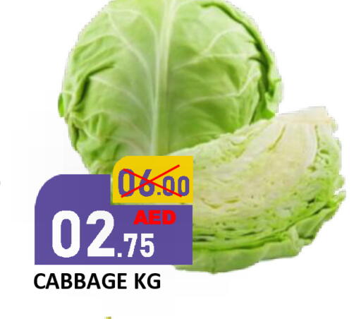 Cabbage available at ROYAL GULF HYPERMARKET LLC in UAE - Abu Dhabi