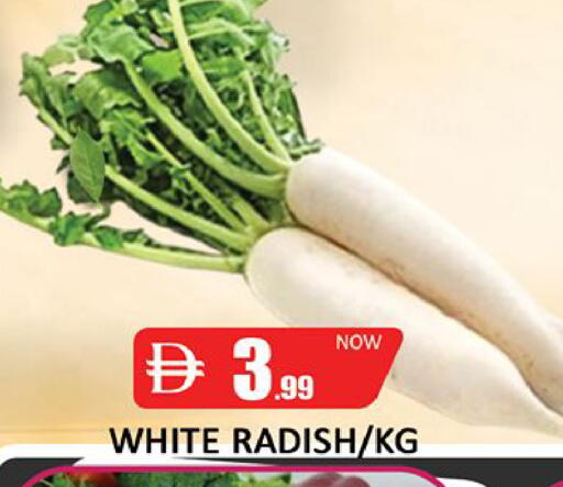 Radish متوفر لدى المدينة في البحرين
