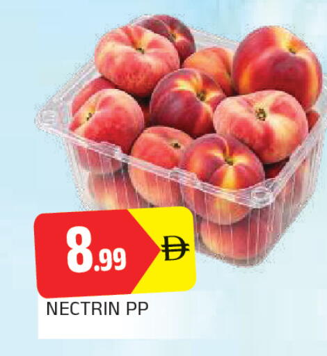 available at AL MADINA in UAE - Sharjah / Ajman