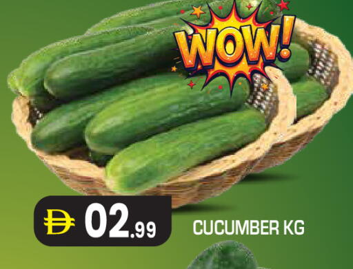 Cucumber متوفر لدى سنابل بني ياس في الإمارات العربية المتحدة , الامارات - ٱلْعَيْن‎