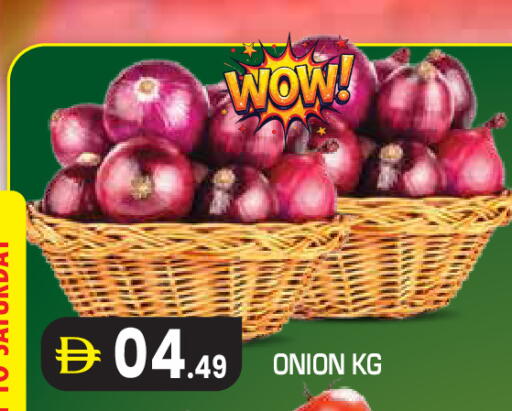 Onion متوفر لدى سنابل بني ياس في الإمارات العربية المتحدة , الامارات - ٱلْعَيْن‎