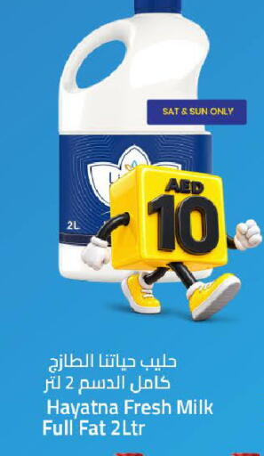 متوفر لدى مارك & سيف في الإمارات العربية المتحدة , الامارات - الشارقة / عجمان