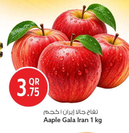 من Iran متوفر لدى سفاري هايبر ماركت في قطر - الضعاين
