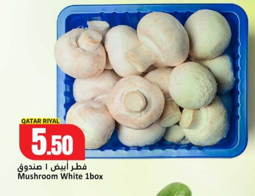 Mushroom متوفر لدى دانة هايبرماركت في قطر - الشمال