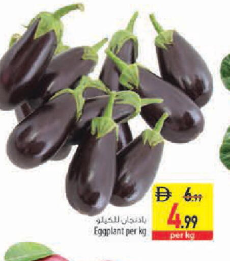 Eggplant available at Safeer Market in UAE - Sharjah / Ajman