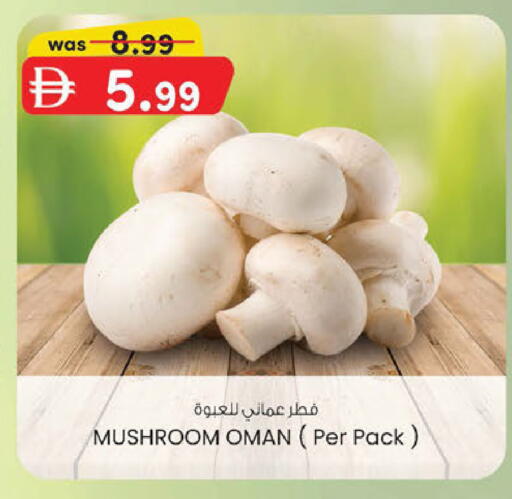 Mushroom من Oman متوفر لدى ك. الم. للتجارة في الإمارات العربية المتحدة , الامارات - دبي