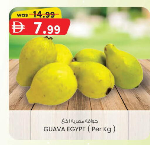 Guava من Egypt متوفر لدى ك. الم. للتجارة في الإمارات العربية المتحدة , الامارات - دبي