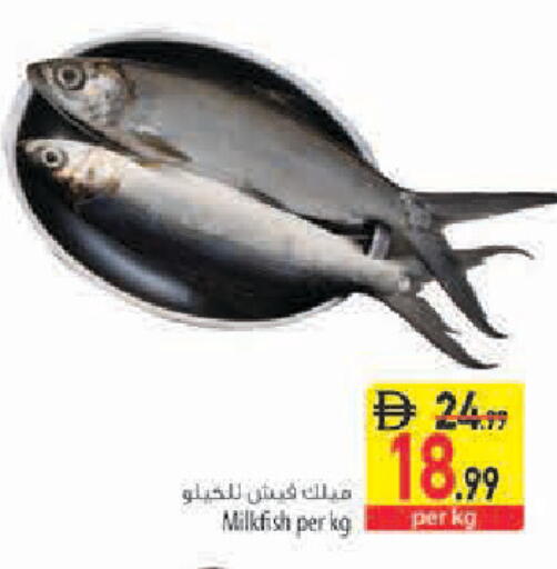available at Safeer Market in UAE - Sharjah / Ajman
