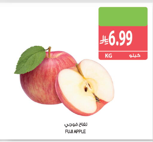 Apple available at Farm  in KSA, Saudi Arabia, Saudi - Sakaka