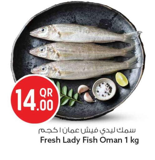متوفر لدى سفاري هايبر ماركت في قطر - الريان