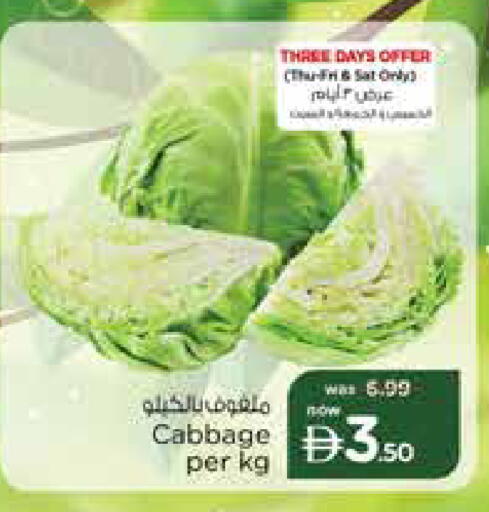 Cabbage available at Nesto Hypermarket in UAE - Sharjah / Ajman