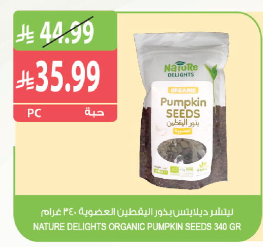 Pumpkin متوفر لدى المزرعة في مملكة العربية السعودية, السعودية, سعودية - جازان