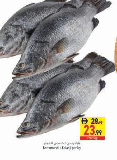 available at Safeer Market in UAE - Fujairah