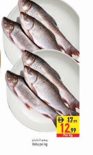 available at Safeer Market in UAE - Fujairah