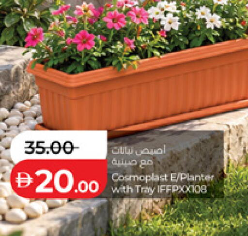 متوفر لدى لولو هايبرماركت في الإمارات العربية المتحدة , الامارات - ٱلْعَيْن‎