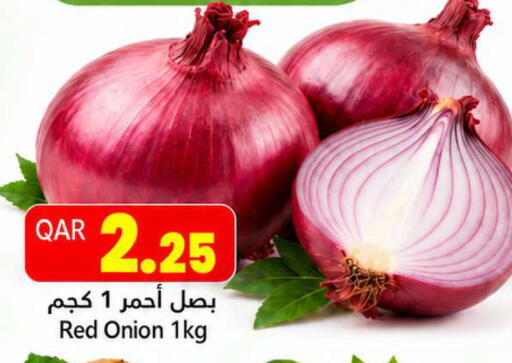 Onion available at Gulf Food Center in Qatar - Doha