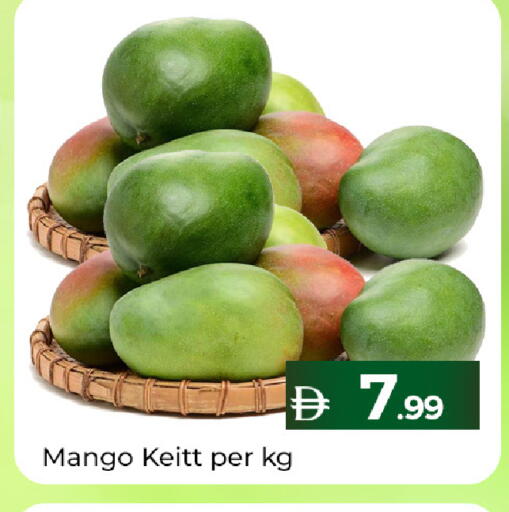 Mango متوفر لدى سوق المبارك هايبرماركت في الإمارات العربية المتحدة , الامارات - الشارقة / عجمان