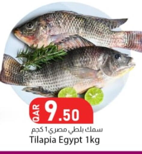 available at Dana Market in Qatar - Al Shamal