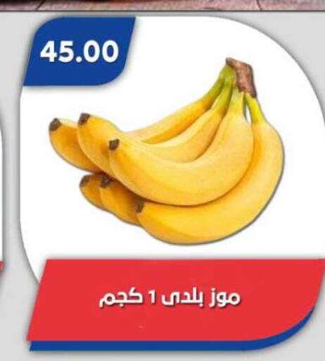 available at Bassem Market in Egypt - Cairo