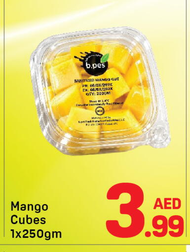 Mango available at Day to Day Department Store in UAE - Dubai