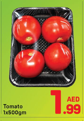 Tomato متوفر لدى دي تو دي في الإمارات العربية المتحدة , الامارات - دبي