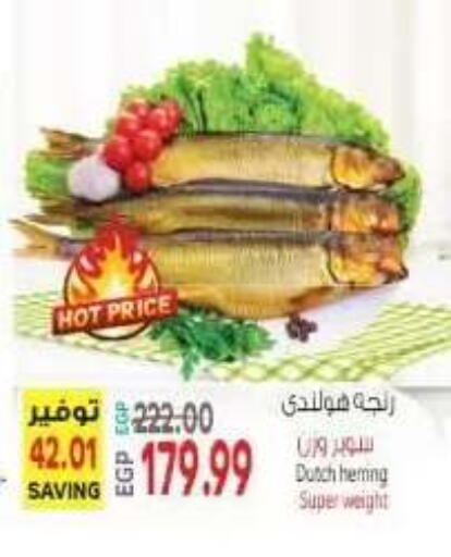 available at El.Husseini supermarket  in Egypt - Cairo