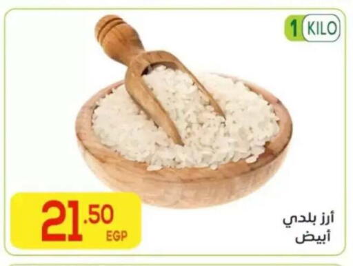 متوفر لدى المحلاوي ماركت في Egypt - القاهرة