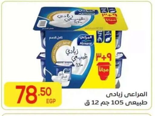 متوفر لدى المحلاوي ماركت في Egypt - القاهرة