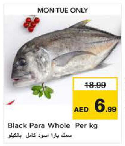 available at Nesto Hypermarket in UAE - Sharjah / Ajman