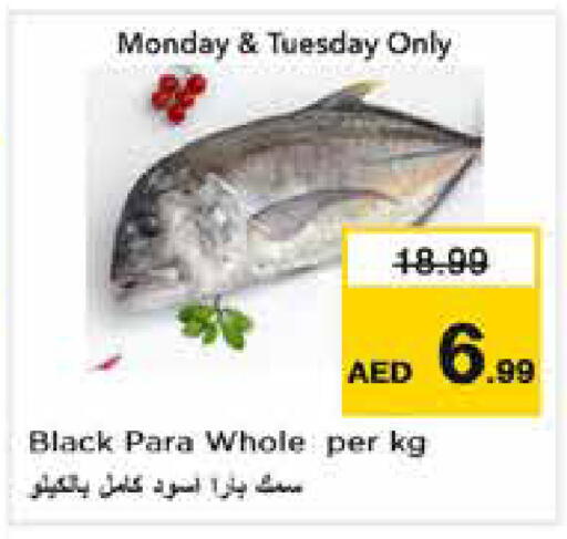 available at Nesto Hypermarket in UAE - Dubai