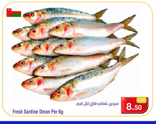 متوفر لدى ميغا مارت في قطر - الخور