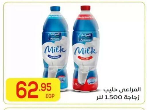available at El Mahallawy Market  in Egypt - Cairo
