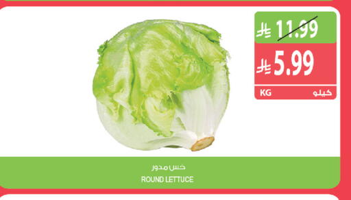 Lettuce available at Farm  in KSA, Saudi Arabia, Saudi - Sakaka
