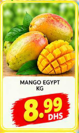 Mango متوفر لدى المدينة في الإمارات العربية المتحدة , الامارات - الشارقة / عجمان