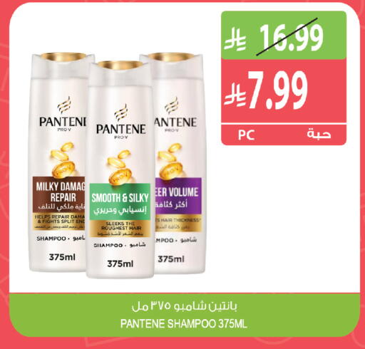 available at Farm  in KSA, Saudi Arabia, Saudi - Al-Kharj