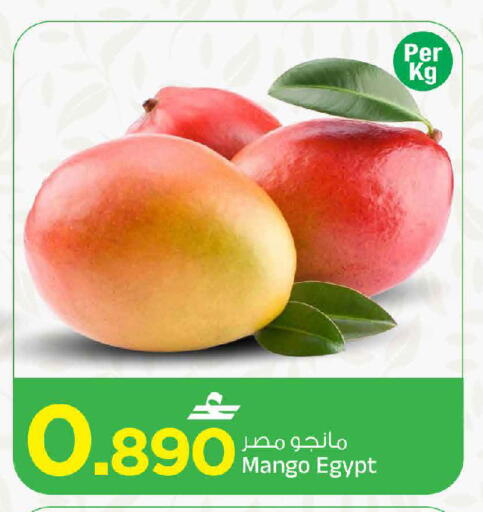 Mango متوفر لدى مارك & سايف في عُمان - مسقط‎